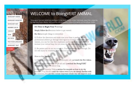 boingvert animal|BoingVERT HUMMINGBIRD .